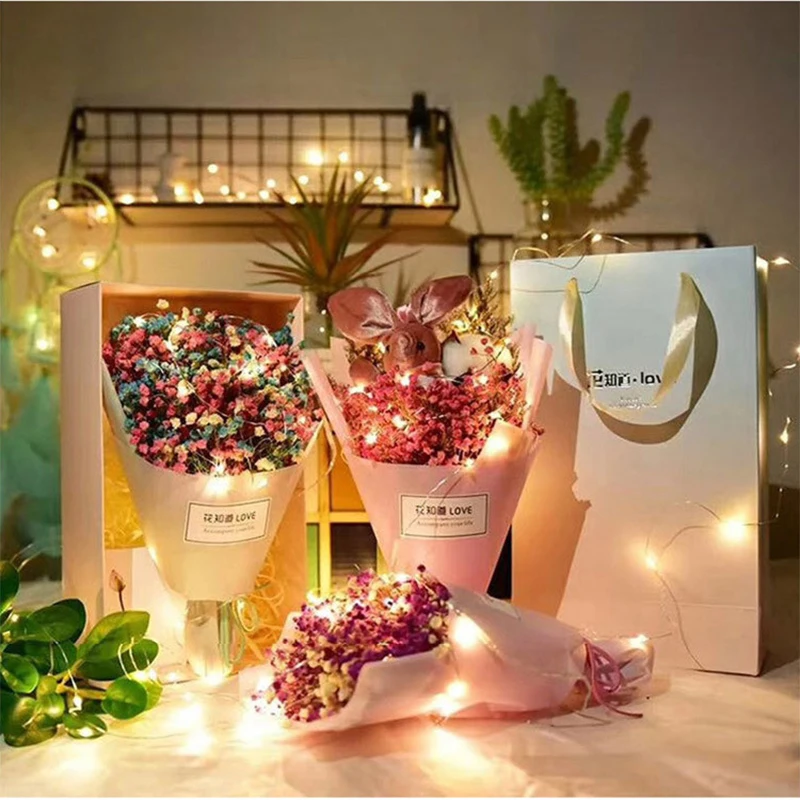 Guirnalda de Luces LED de Alam - Led Fairy String Lights reseña y precio